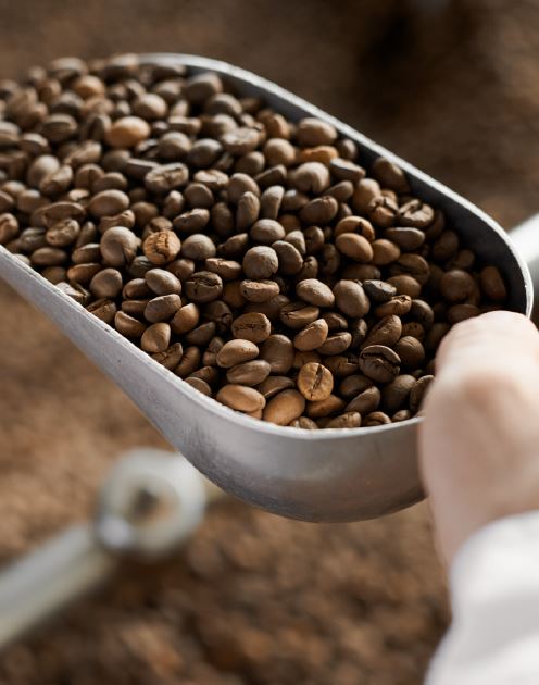 Conway-Conway24:/Concepten/Oke coffee/OKE3.jpg