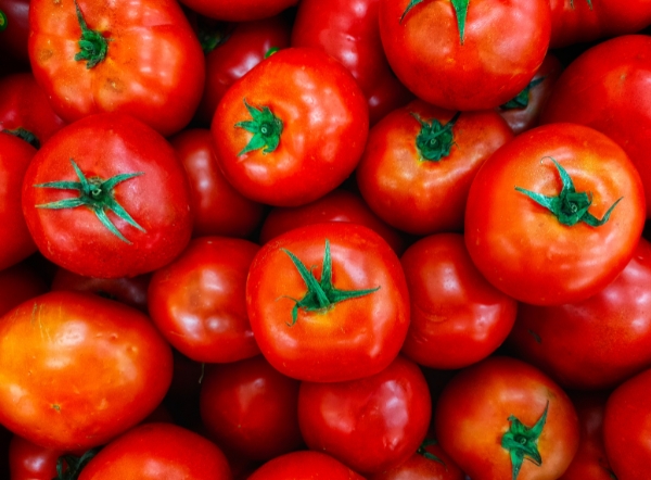 Conway-Conway24:/Conway/Nieuws/Tekst met foto.jpg